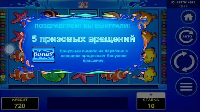 Смотрите, как я играю в PLAY FORTUNA