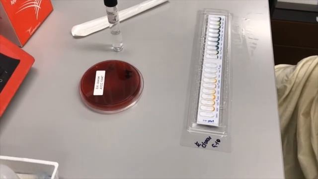 API 20E Part 1: Setup смотреть онлайн