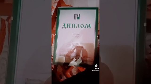 Диплом "Русь Моя" номинация литературной премии имени Сергея Есенина смотреть онлайн