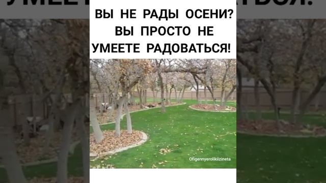 VID-20230926-WA0015.mp4 смотреть онлайн