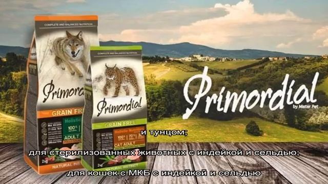 Итальянские корма для кошек: список лучших производителей смотреть онлайн