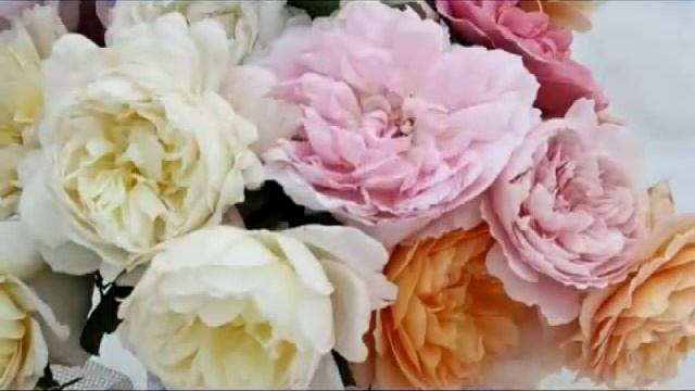 С днем рождения,сестра