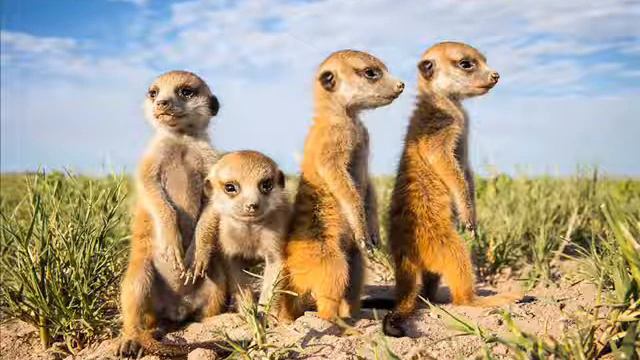 Необычные фото смотреть онлайн