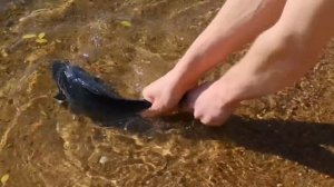 24 ЧАСА ВЫЖИВАЕМ НА НЕОБИТАЕМОМ ОСТРОВЕ ЧЕЛЛЕНДЖ