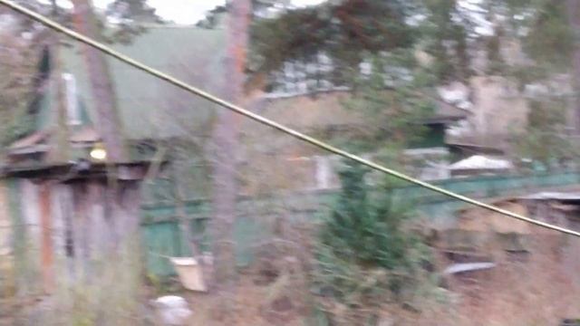 Короче говоря, выживаем на.... | Дневник жизни | МНОГОДЕТНЫЕ | И ...Я снова за рулём!!!!!! ??? смотреть онлайн