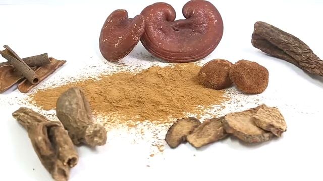 Ganoderma Lucidum Red Reishi Mushroom Extract смотреть онлайн