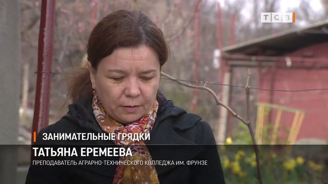 Занимательные грядки смотреть онлайн