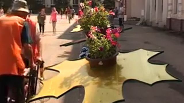 На площади Советов зацвели кленовые листья смотреть онлайн