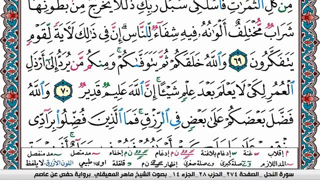 سورة النحل مكتوبة Surah Al Nahl ماهر المعيقلي Maher Al Muaiqly смотреть онлайн