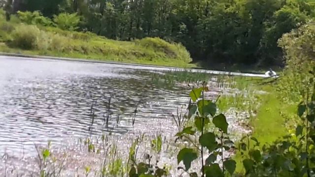 Champion g200vk и ветерок на лодке Quick Stream rx1 335al смотреть онлайн
