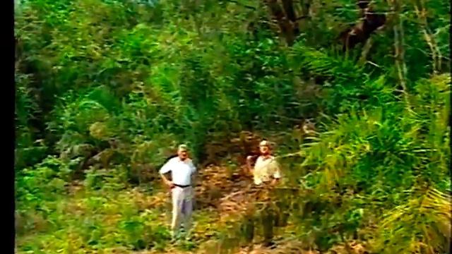 Globo Rural | Trecho Rede Globo 01/01/1995 смотреть онлайн