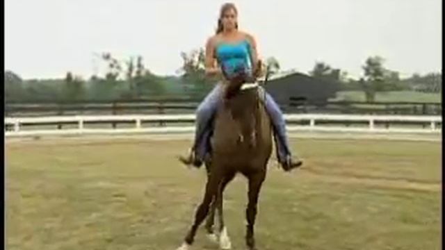 The Natural Horse Vet TV Show with Dr. Dan Moore смотреть онлайн
