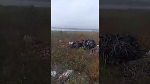 Экологическая катастрофа Мусор и трупы животных! Бес порядок в селе Троицком Беляевского района смотреть онлайн