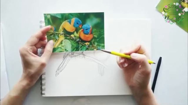 Мастер-класс по рисованию сложных набросков "Птицы" в рамках праздника цветов "Сибирский первоцвет" смотреть онлайн