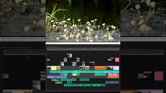 UKWELI DIAPER AD Timeline BREAKDOWN #AGeditchallenge BRAND AD смотреть онлайн
