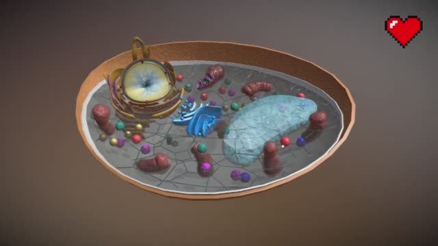 Строение грибной клетки. Изучаем в 3D смотреть онлайн