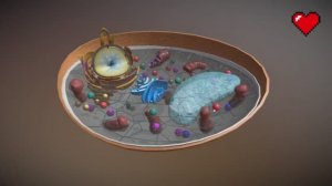 Строение грибной клетки. Изучаем в 3D