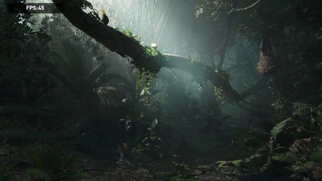 Shadow of the Tomb Raider rtx 2060 msi ventus 2560x1080 ultra settings смотреть онлайн