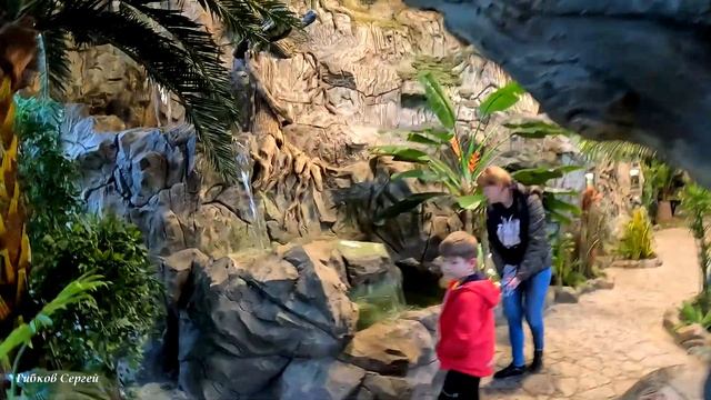 "Экзотариум" парка Лога 08.05.2023г. смотреть онлайн