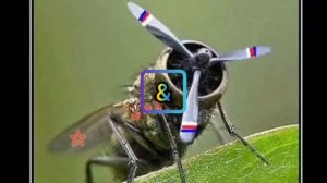 2часть. Песня (а муха тоже вертолёт) Оригинал & Ремикс