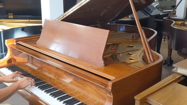 On My Own from Les Miserables performed by Raht on our Baldwin L Grand Piano смотреть онлайн