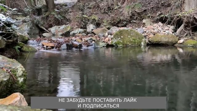 Так и не понял эту женщину...Истории из жизни. Истории предательств. Аудорассказ смотреть онлайн