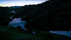 Дана Лахова - Ночь и Тишина