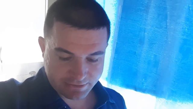 Кошачьи и собачьи романсы