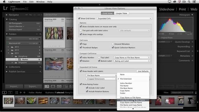 Customizing View Options in Lightroom смотреть онлайн