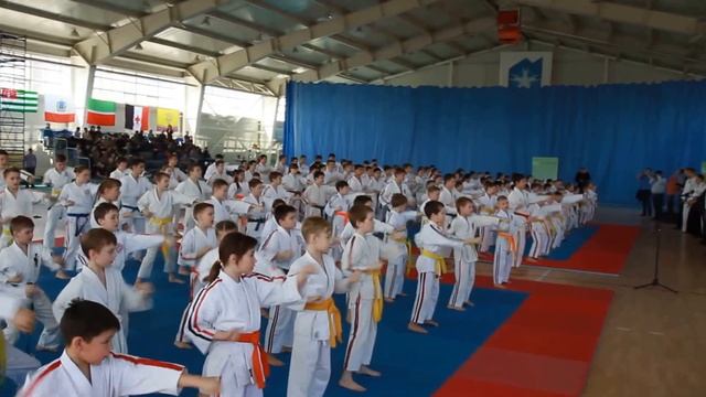 KOSHIKI KARATE - Opening Ceremony of Russian Cup - 2015 смотреть онлайн