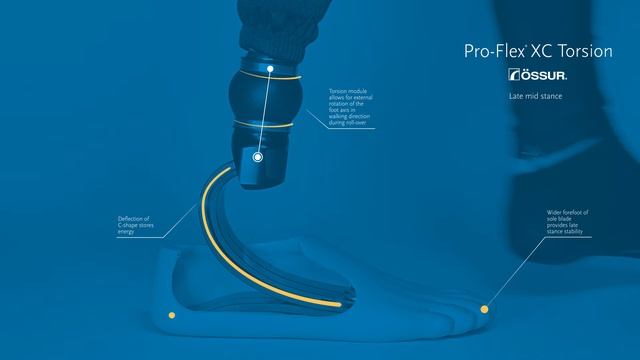 ProFlex XC Torsion Technology смотреть онлайн