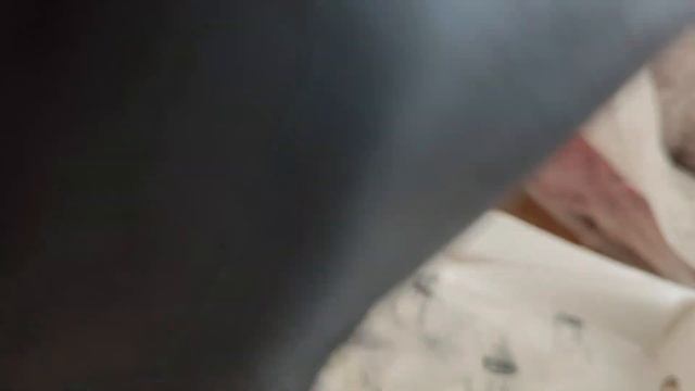 Сапоги ботфорты зимние из натуральной кожи Francesco Donni