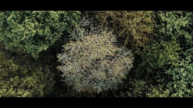 Шатуны - Анонс альбома смотреть онлайн