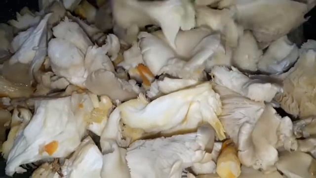 Տապակած սունկ ,,Կախասունկ,,?❤? Жареные грибы ,,Вешенки,,?❤?Tapakac sunk ,,Kaxasunk,, смотреть онлайн