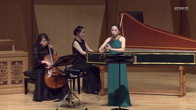 G.F.Händel - Minuetto from Sonata in e minor for recorder and basso continuo, HWV 375 смотреть онлайн
