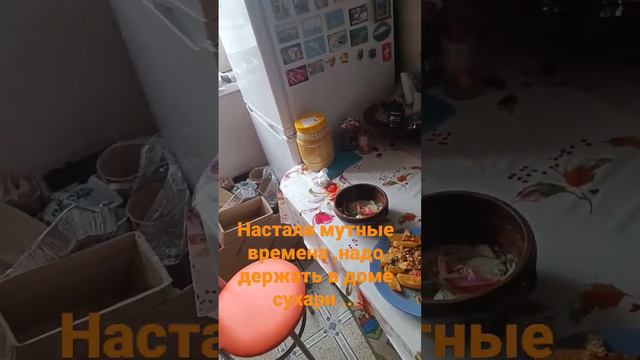 Смутные времена настали,в доме должны быть сухари ... смотреть онлайн
