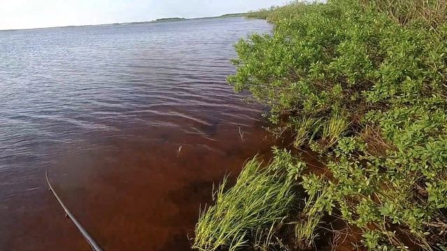 Озеро Городецкое Ненецкий ао смотреть онлайн