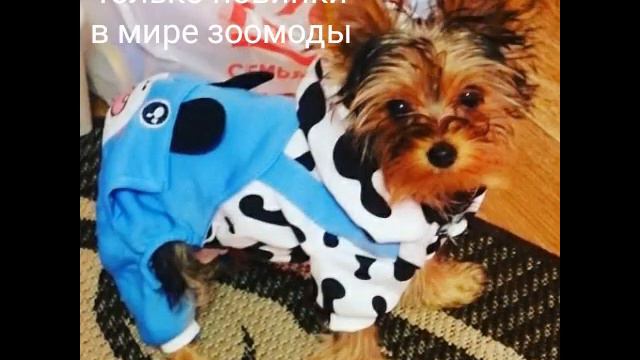 📣Мы очень любим обратную связь🥰. 🔆Несколько работ из новой коллекции. смотреть онлайн