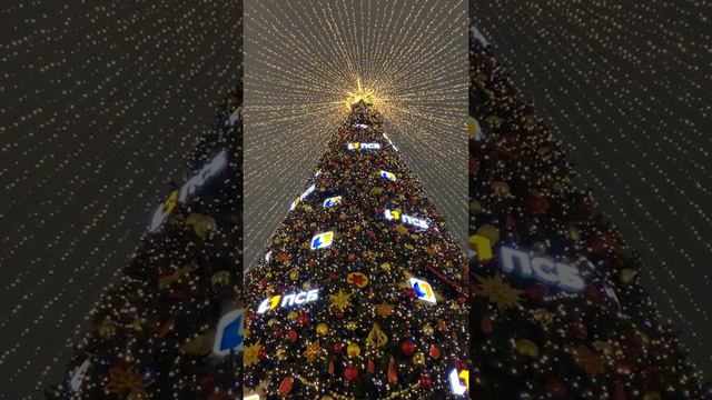 Самая красивая Ёлка в 2020 смотреть онлайн