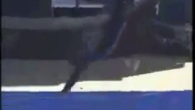 Сезон крутых видео 4 (танцы на касатке) смотреть онлайн