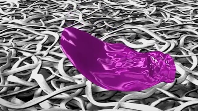 Let’s Step Inside Landa смотреть онлайн