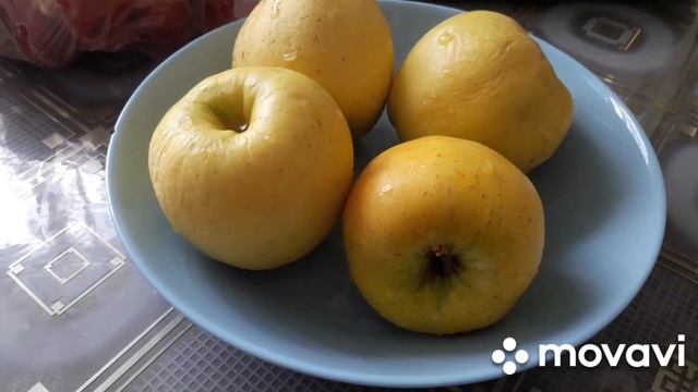 ВЛОГ. СОСИСКИ БЫЛИ ПЛОХЕНЬКИЕ. В ЭТОМ СЕЗОНЕ НЕ БУДЕТ. РЕКОМЕНДУЕТСЯ ПОХУДЕТЬ, ЧТОБ НЕ НОСИТЬ ЛИШНЕ смотреть онлайн