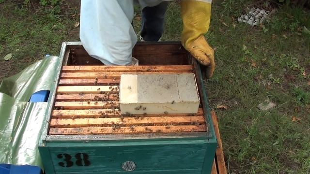 Пчеловодство. Обработка пчёл от клеща осенью. смотреть онлайн