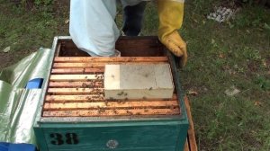 Пчеловодство. Обработка пчёл от клеща осенью.