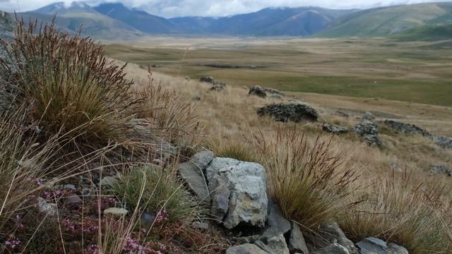 Горный Алтай, Курайская степь, знаки ряби, чуйская степь и мелкие горные ручьи, Fujifilm XT4. смотреть онлайн
