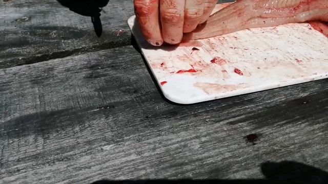 Жарим Налима, в Уазе. Майский отдых продолжается.(18+) смотреть онлайн