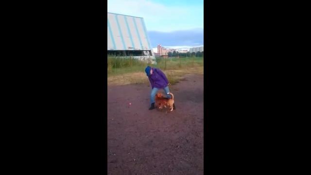 Харт и Дрим Наши первые совместные тренировки