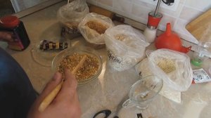 Готовим процесс брожения ферментированная кукуруза для карпа,сазана ferme