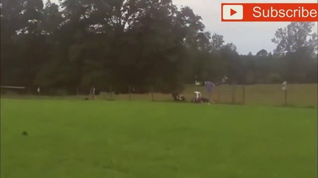 Приколы. Безумные козы!.mp4 смотреть онлайн