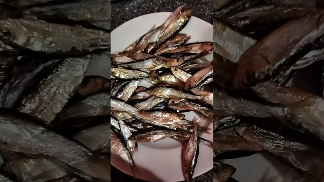 ТЮЛЬКА - ЭТО КРУТАЯ РЫБА И КАЙФ! смотреть онлайн